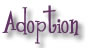 With open adoption, you get to choose the adoptive parents
